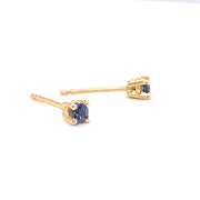 Yogo Sapphire & Yellow Gold Stud Earrings - "Dash of Sky"