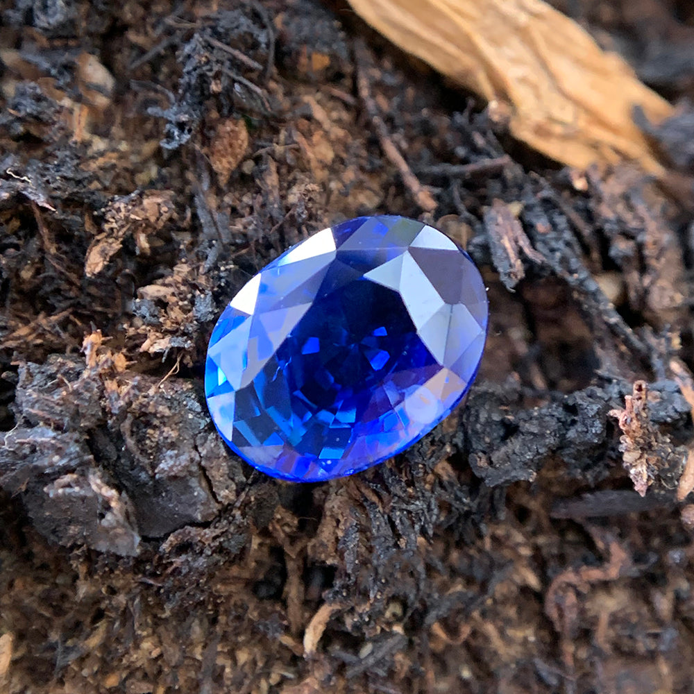 Oval blue Yogo sapphire gemstone lying on moss