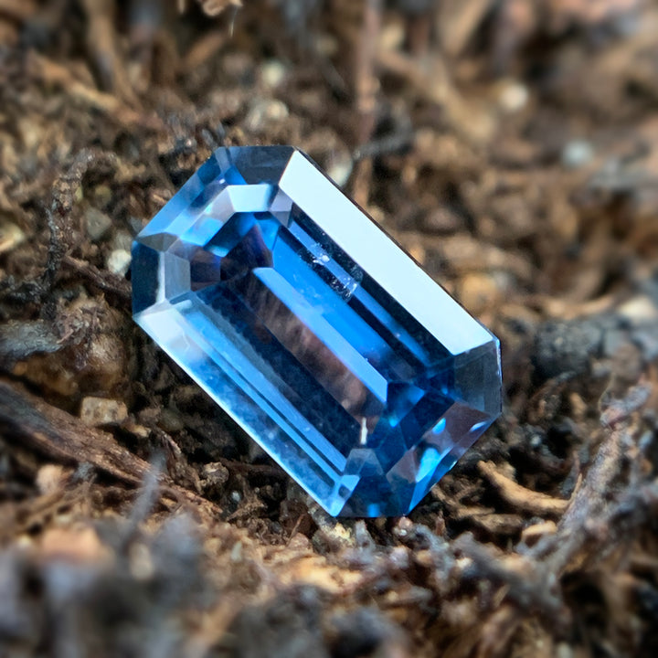An emerald-cut unheated deep blue Yogo sapphire with mirror-like facets lying atop brown moss 