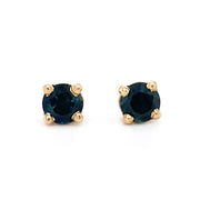 Montana Sapphire & Yellow Gold Stud Earrings - "Forest Shadows"