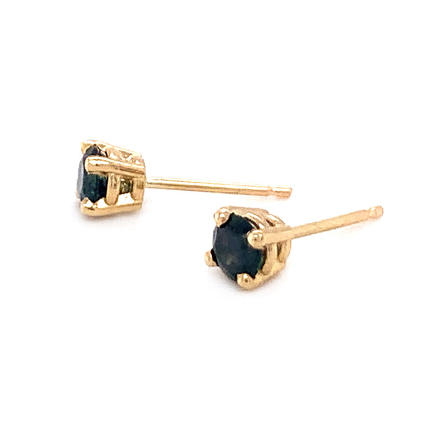 Montana Sapphire & Yellow Gold Stud Earrings - "Forest Shadows"