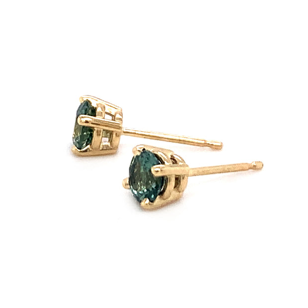 Montana Sapphire & Yellow Gold Stud Earrings - "Sunny Lakeside"