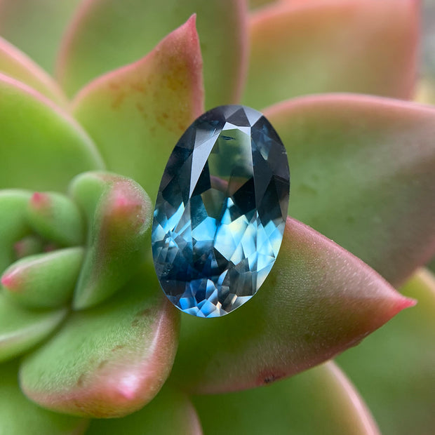 Montana Sapphire, 3.36ct - "Tropical Paradise"