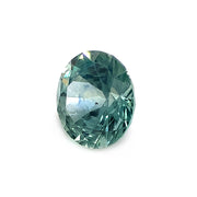 Montana Sapphire, 1.68ct - "Undergrowth"