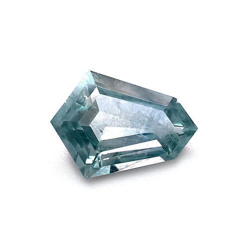 Montana Sapphire, 1.01ct - "Denali's Protection"
