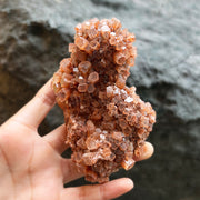 Aragonite Star Cluster