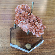 Aragonite Star Cluster