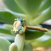 Montana Sapphire & Yellow Gold Engagement Ring - "Nymph of Montana"