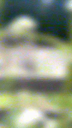 Morgaine Faye at Alara Jewelry Bozeman Montana