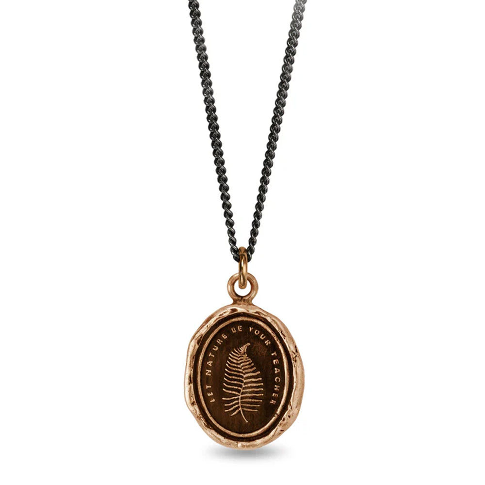Let Nature Be Your Teacher fern talisman necklace by Pyrrha in bronze and silver