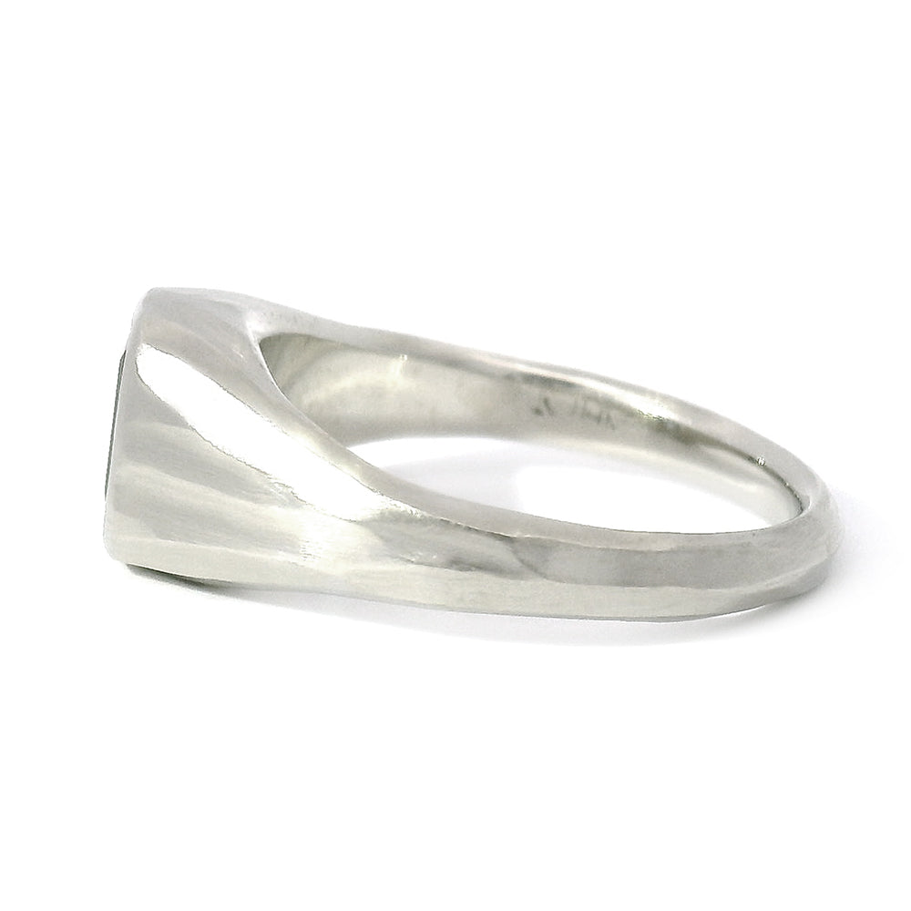 Emerald-Cut Montana Sapphire Signet Ring -"Roam Free"