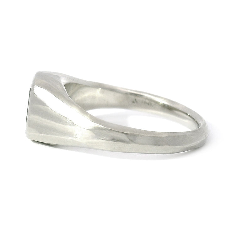 Emerald-Cut Montana Sapphire Signet Ring -"Roam Free"