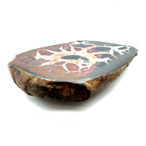 Septarian Dragon Egg