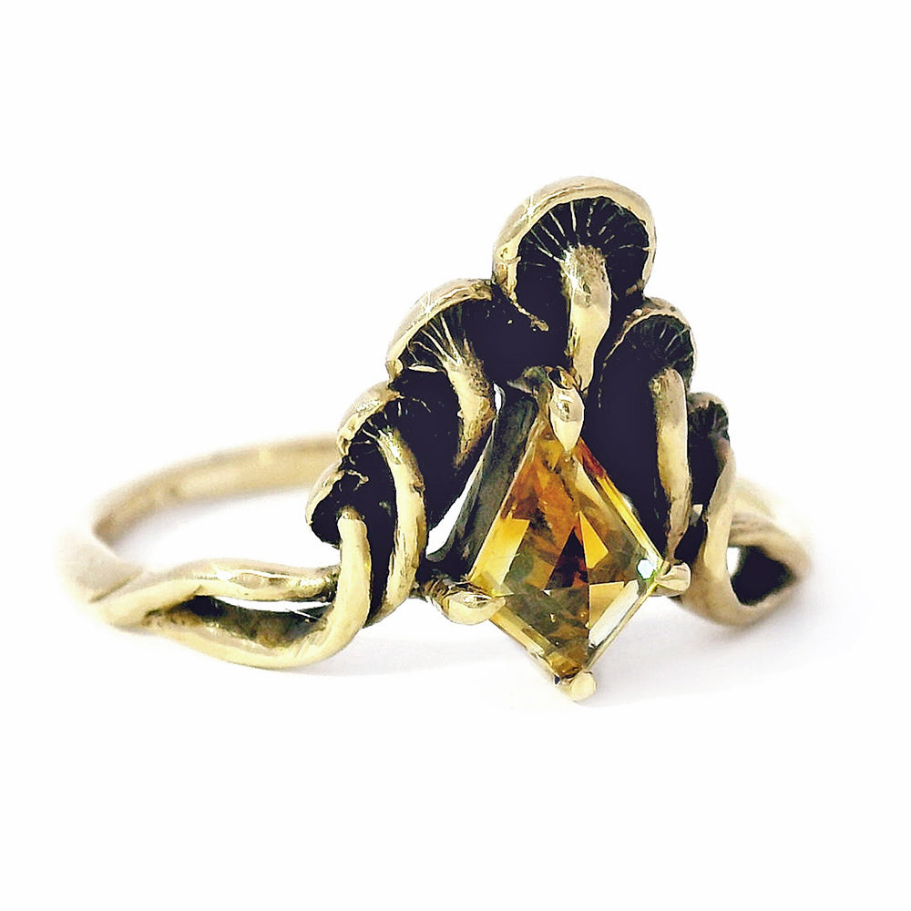 Kite-Shaped Montana Sapphire Ring - "Mushroom Peak"
