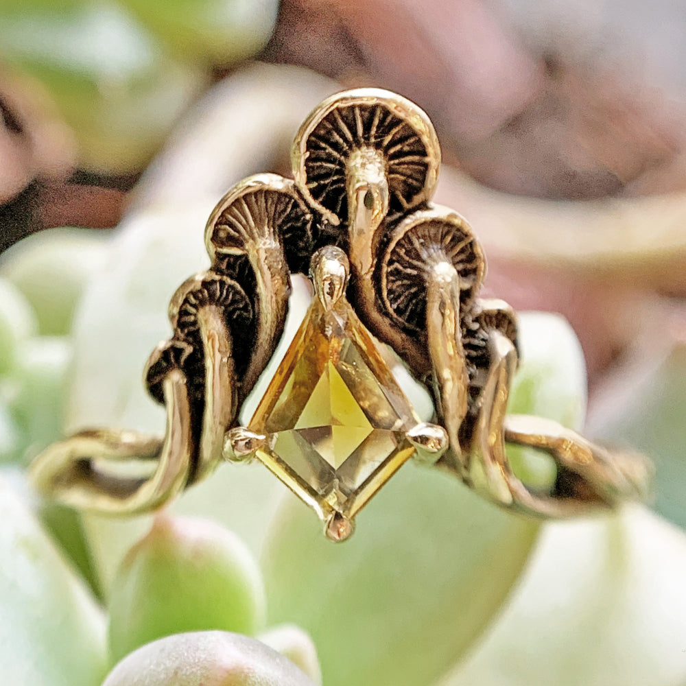 Kite-Shaped Montana Sapphire Ring - "Mushroom Peak"