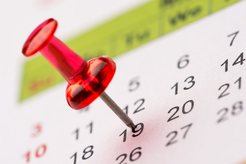 book your jewelry appointments alara award winner bozeman montana