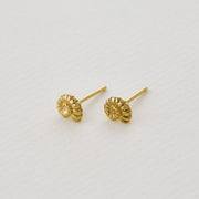 Yellow Gold Stud Earrings - "Fine Ammonite"