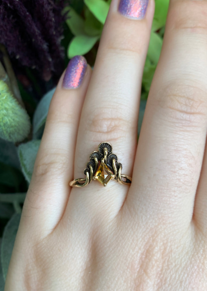 Kite-Shaped Montana Sapphire Ring - "Mushroom Peak"