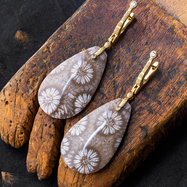 Fossil Coral and Gold Earrings by Alex Sepkus